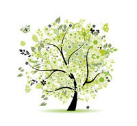 Rosenpflege_Rosen_Fruehjahr