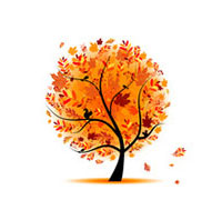 Rosenpflege_Rosen_Herbst