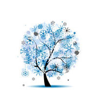 Rosenpflege_Rosen_Winter